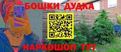 хмурый Тула